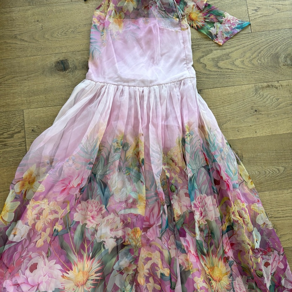 BHLDN Pink Floral Sheer Maxi Dress
